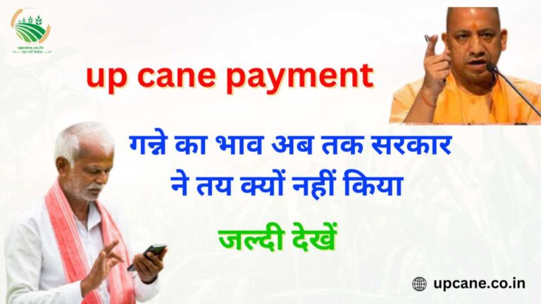 up cane payment